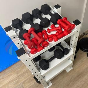 Купить Модульный стеллаж для гантелей, гирь  600х470х1160 в Бабаеве 